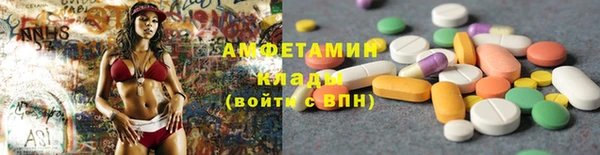 прущие грибы Осинники