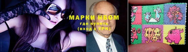 прущие грибы Осинники
