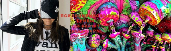 прущие грибы Осинники