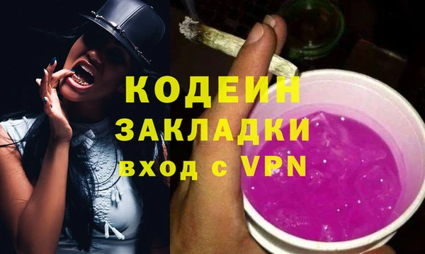 хмурый Няндома