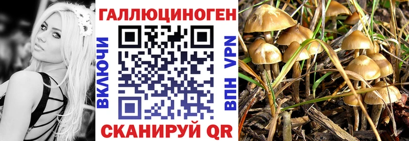 сколько стоит  Ступино  Галлюциногенные грибы Cubensis 