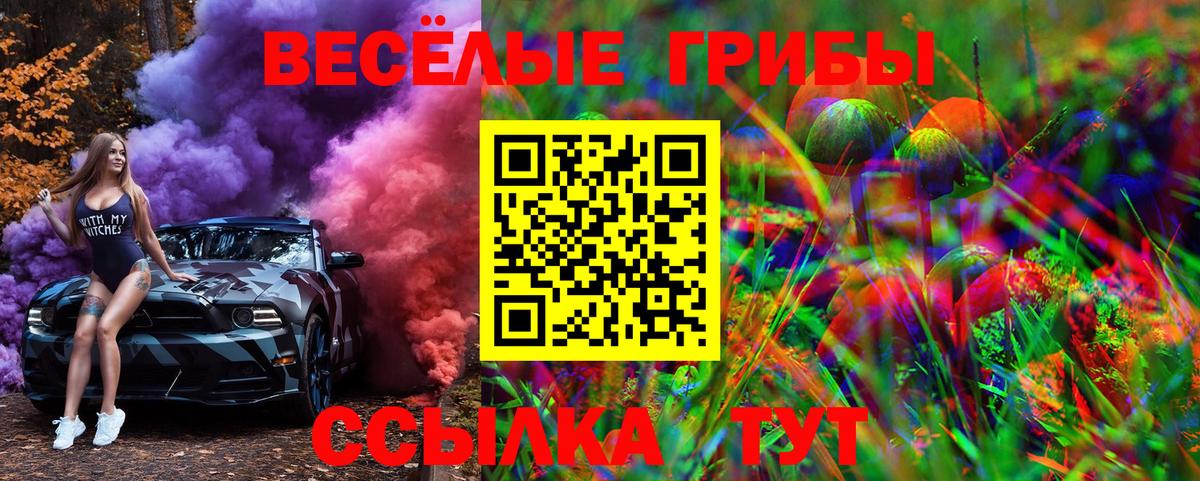 Псилоцибиновые грибы Cubensis Ступино